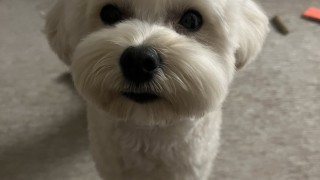 2024.03.30 의젓해진 형님 강이