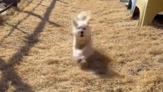 2024.01.13 강이 두번째 생일