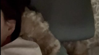 2023.02.05 베개는 강이꺼~!