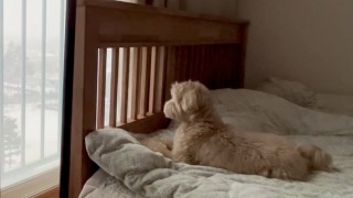 2022.12.15 눈구경