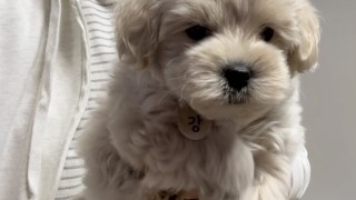 2023.03.27 강이 수영하다?!